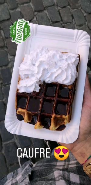 Soo good at VeganWaf in Brussels