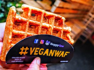 Plain is the way to go! at VeganWaf in Brussels