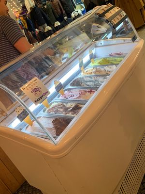 Vegan ice creams!!! at VeganWaf in Brussels