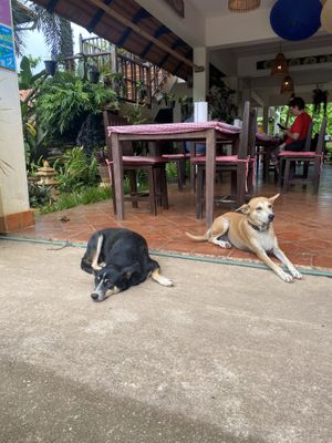   at The Garden in Koh Lanta