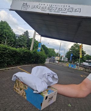  at Zum glücklichen Bergschweinchen in Kassel