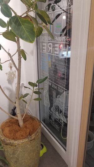 window at Breather Coffee in Zushi