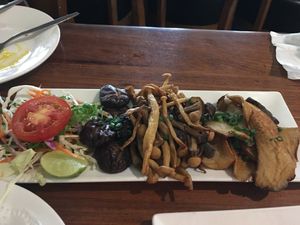 Five companions mushrooms.  at Khop Chai Deu in Vientiane