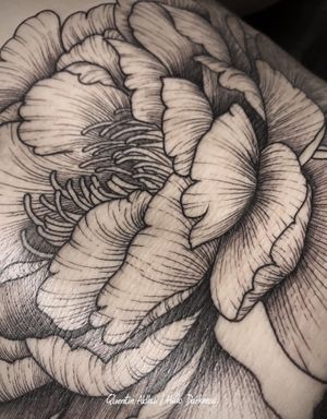 Quentin aldhui at Hello Darkness in Lyon