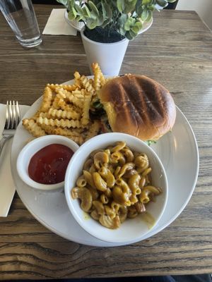 Chicken sandwich and Mac and cheesee  at Can't Believe It's Vegan  in Westerville