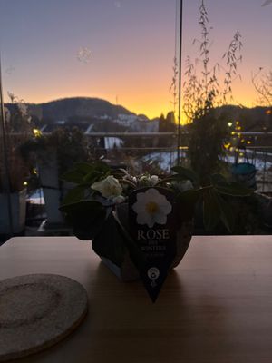 Sun set, view from our cozy glass house at Chez Svanette in Zullwil