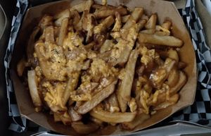 Regular poutine at Dirty Dogs in Montreal