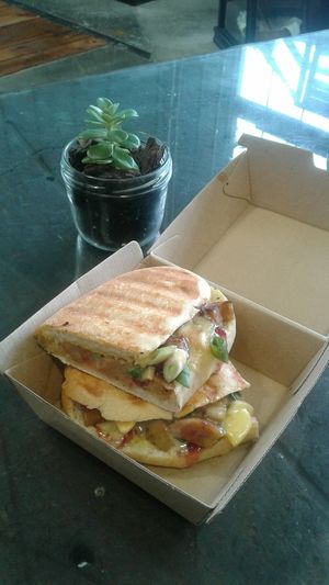 Furkey Panino in a takeaway box at GG Bistro in Christchurch