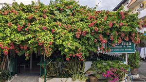  at Sala Bua in Phuket