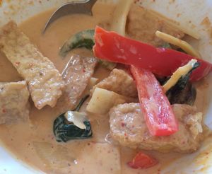 Curry with mock meat  at Taste of Thai Express in Ithaca