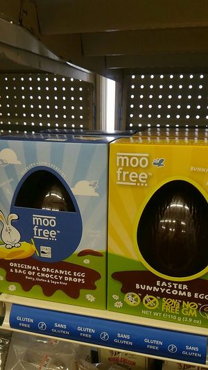 Moo free at MacArthur's Nurseries in Moncton