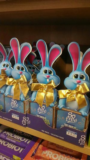 Chocolate at MacArthur's Nurseries in Moncton