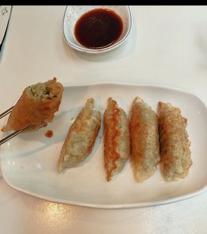 Dumpliiiiings at Maru JaYeonSik Kimbap in Seoul