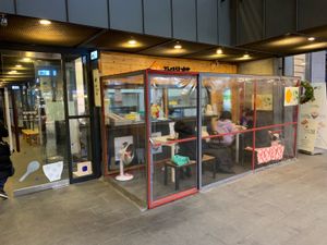 Outdoor seats at Maru JaYeonSik Kimbap in Seoul
