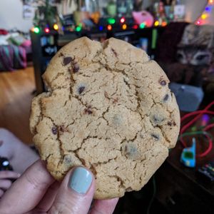 Chocolate chip at Real Fake Meats in Halifax