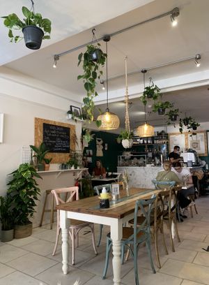 Plant everywhere! 🪴  at The Flower Cup in Chester