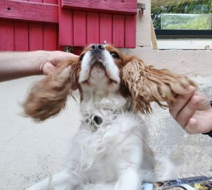  at La Beuratte in Cornimont