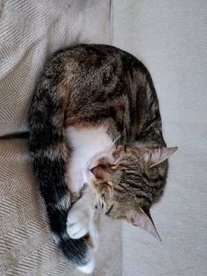  at La Beuratte in Cornimont