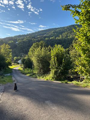 gorgeous location at La Beuratte in Cornimont