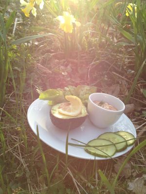 Stuffed avocado with vegan tarama at La Beuratte in Cornimont