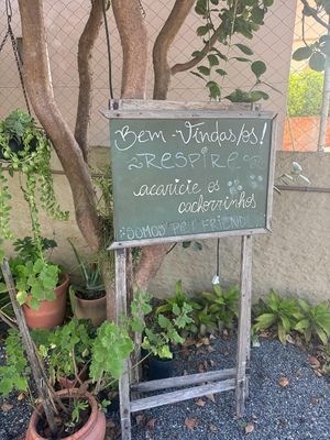 Pet friendly at Comedoria in Bombinhas