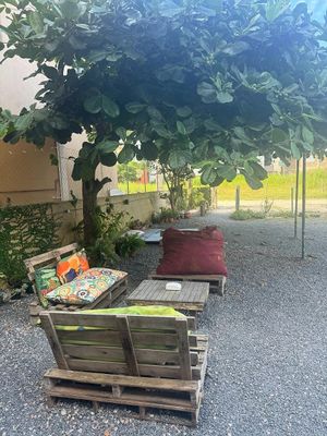 Sombra boa at Comedoria in Bombinhas