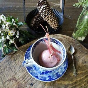 Vegan organic locally grown and handpicked homemade rhubarb sorbet  at Brasserie Uno in Zermatt