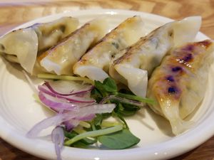 Gyoza 500Y at NRT - T's Tantan - T2 in Narita