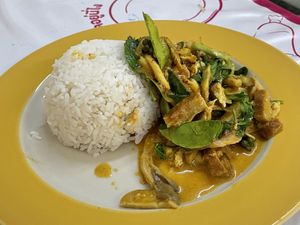 Red curry with vegan duck, pork and chicken.  at Raan J Koh in Loei