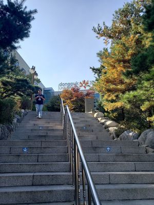 Walk straight all the way after the staircase n road at Sangrokwon Chaesikdang in Seoul