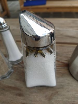 I found this sugar outside after I ate at Five Diner in Nuremberg