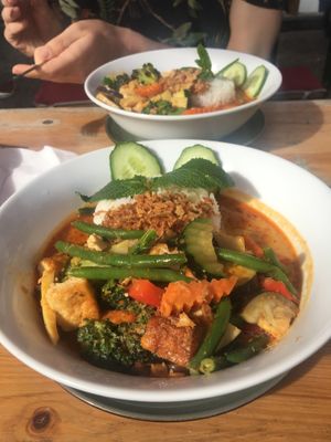 Coconut thai curry (deliciously spicy)  at Vegan Village in Hannover