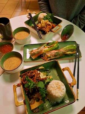 Sommerrolls and traditional main courses at Vegan Village in Hannover