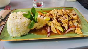  at Vegan Village in Hannover