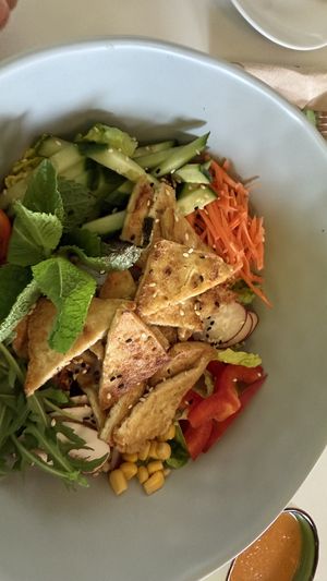   at Vegan Village in Hannover