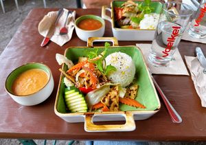 Fried tofu with peanut sauce   at Vegan Village in Hannover