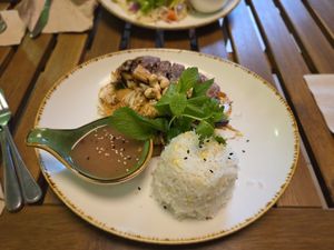 VN9 Xao Xa Ot mit veganem "Ente" at Vegan Village in Hannover