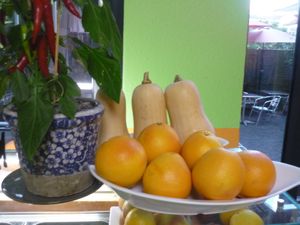 Inside at Vegan Village in Hannover