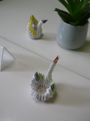 Inside decoration at Vegan Village in Hannover