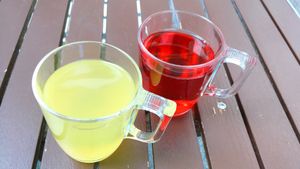 drinks at Vegan Village in Hannover