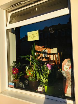 the outside  at House of Seitan in Gdansk