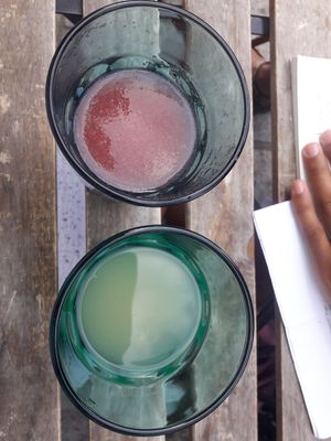 Lemonade: apple vs watermelon at House of Seitan in Gdansk