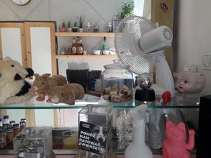 Counter at House of Seitan in Gdansk