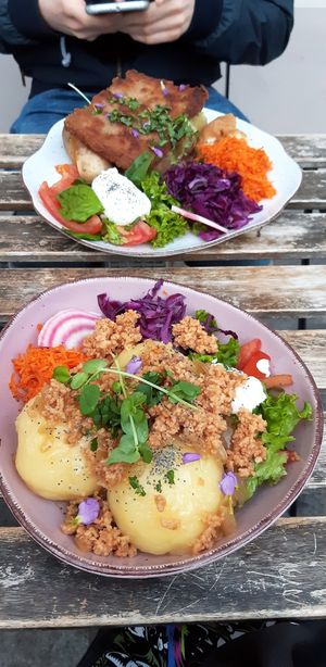 Pyzuchy and Schabibi at House of Seitan in Gdansk