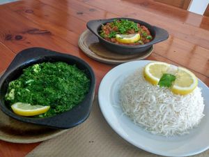 Traditional Chana Masala and Palak Paneer (with vegan cheese) with basmati rice 😍 at Govindas in Tenerife