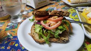 burger. I think it was soy based. very good. bread crumbled and didn't serve as good wrapper at Casa da Pamonha in Manaus
