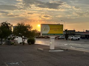   at Loving Hut in Phoenix