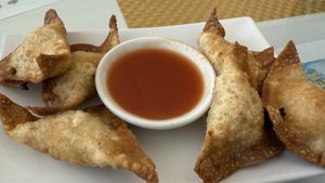 Wontons  at Loving Hut in Phoenix