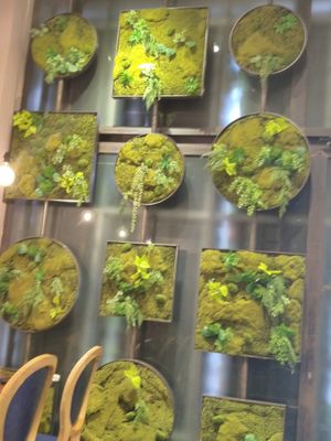 店內佈置 at Salud Tapas Restaurant in Taoyuan