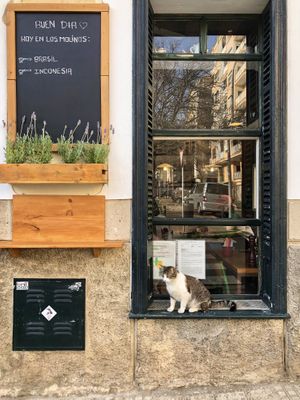 💜  at Mama Carmen's in Mallorca